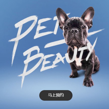 伊通宠物中心小程序开发