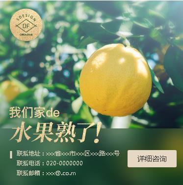 伊通果园果林小程序开发